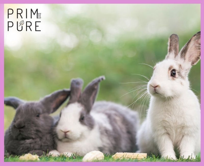 Why Your Kids Deserve Cruelty-Free Makeup